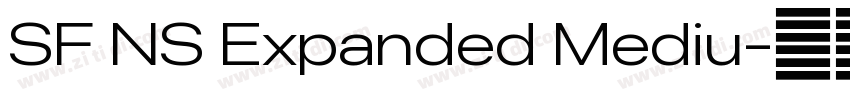SF NS Expanded Mediu字体转换 SF NS Expanded Mediu字体转换